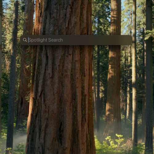 Spotlight Search on Mac